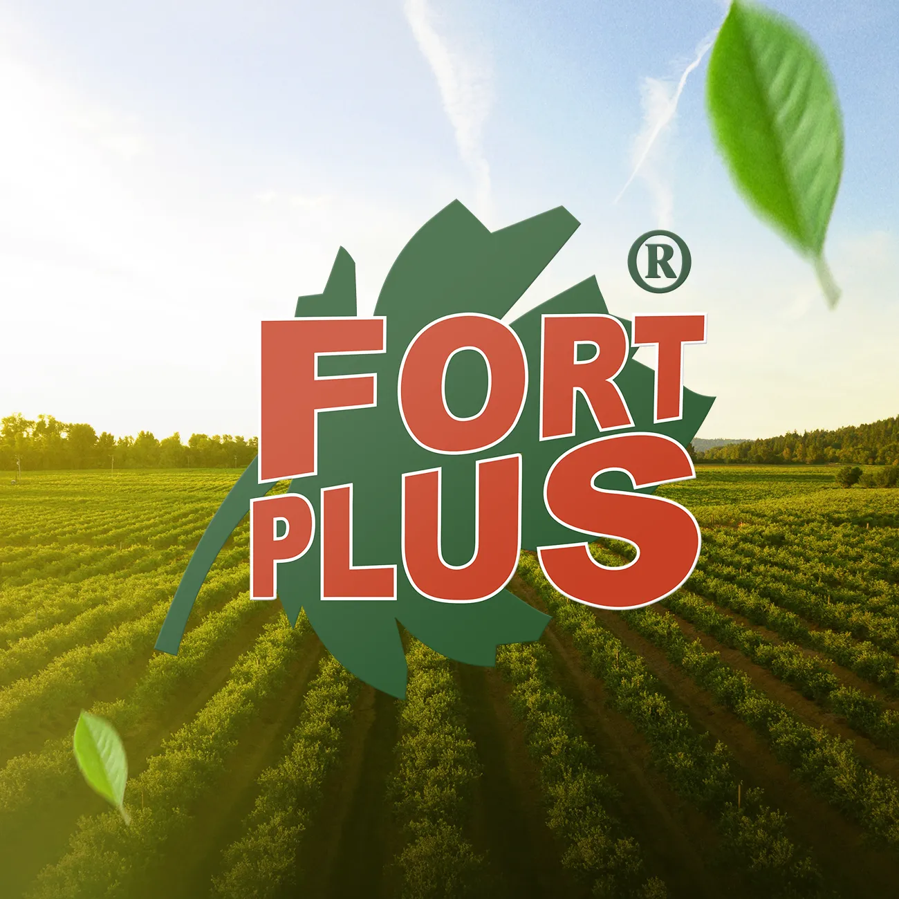 Lavouras produtivas Fort Plus